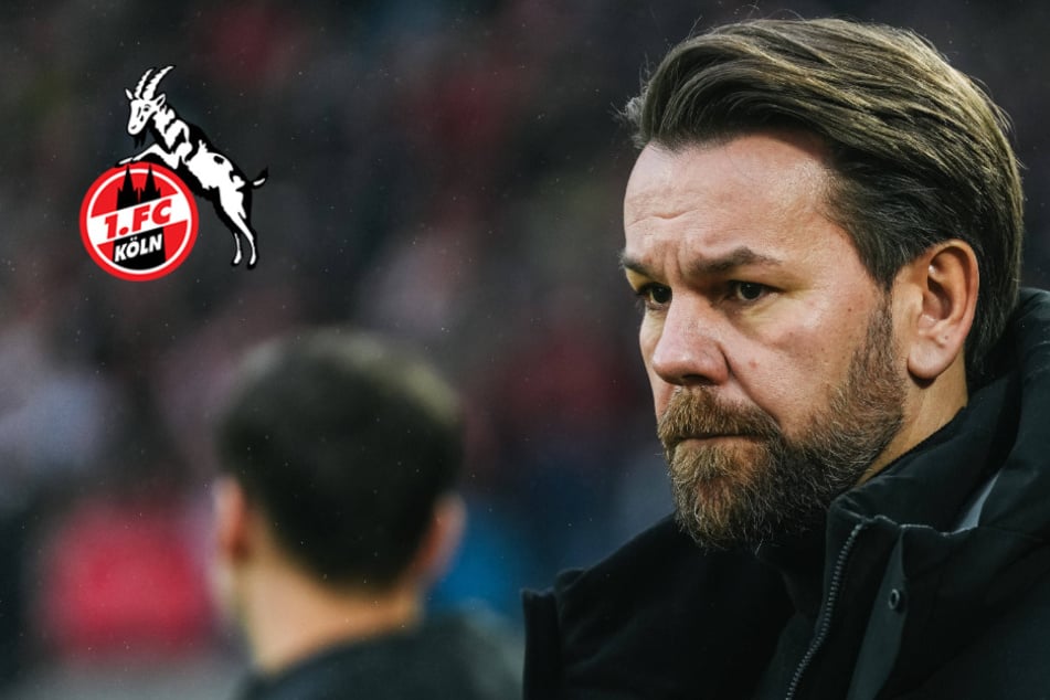 Boss-Machtwort beim 1. FC Köln: Das macht der FC noch auf dem Transfermarkt