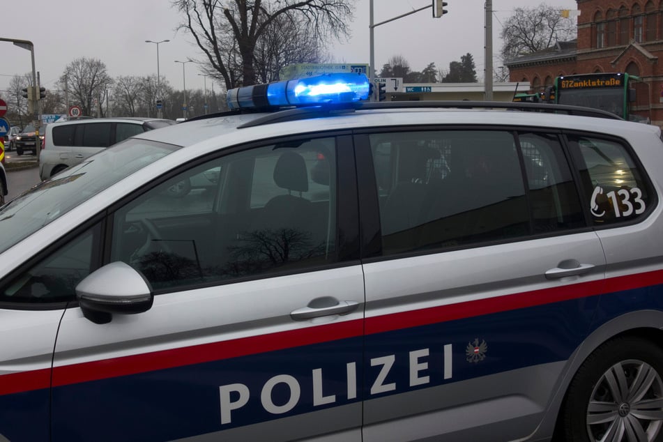 Die Wiener Polizei sucht fieberhaft nach einem entführten Baby. (Symbolbild)