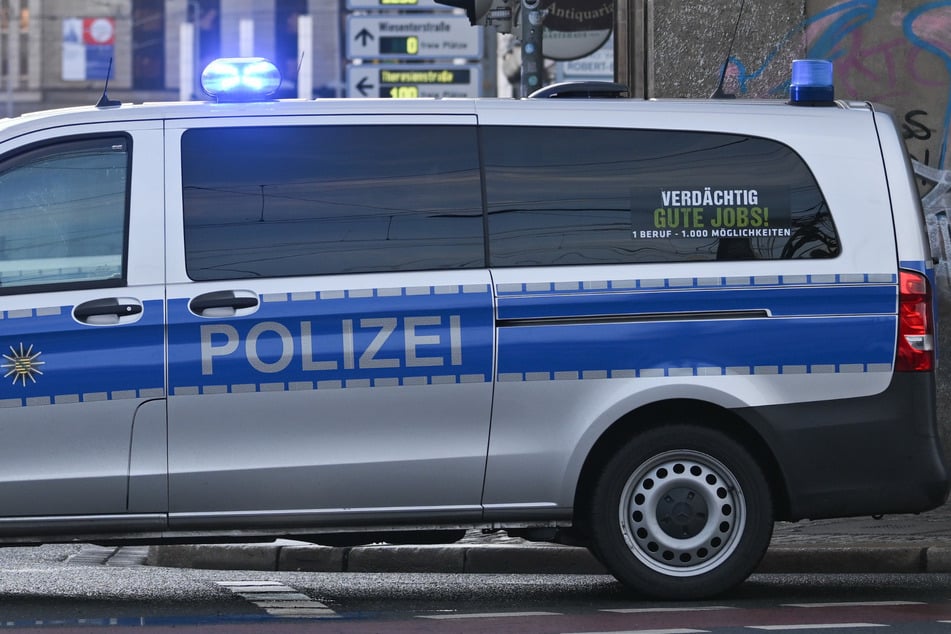 Die Dresdner Polizei rückte am Montagabend zu einem Unfall aus, der durch ein stechendes Insekt verursacht worden sein soll. (Symbolfoto)
