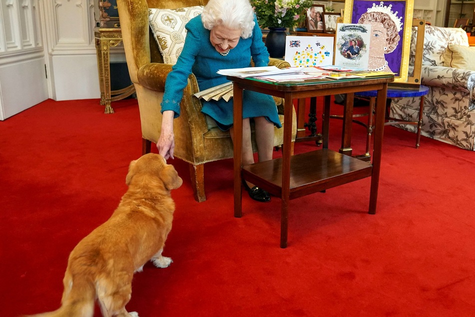 The Queen reaches down to pet her dog Candy in a photo released a month before her death.
