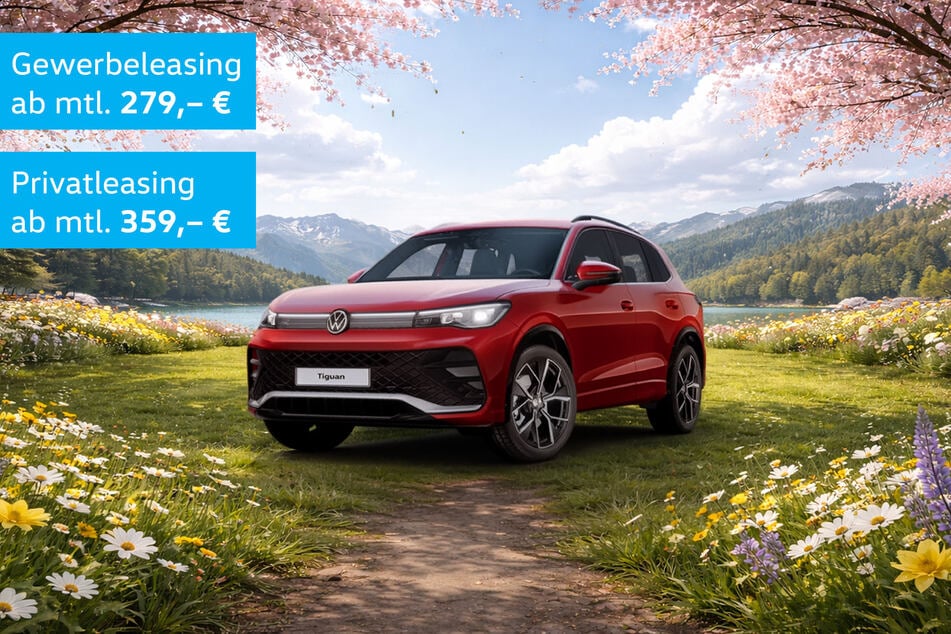 Fahrzeugabbildung kann vom Angebot abweichen.