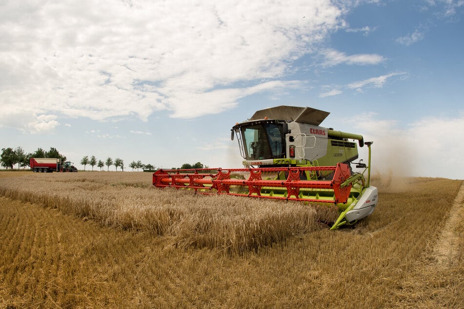 Mit einem Mähdrescher nutzt ein Landwirt eine Regenpause, um sein Weizenfeld abzuernten.
