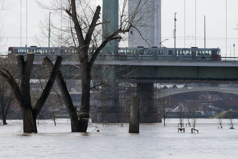 Eigentlich sollte die Mülheimer Brücke schon längst fertig sein: Der Startschuss für die Sanierung fiel 2018. (Archivbild)
