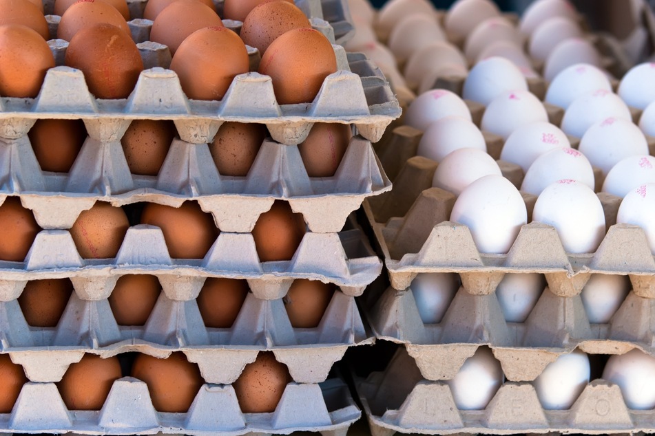 The avian flu has been detected at the largest egg manufacture in the US.