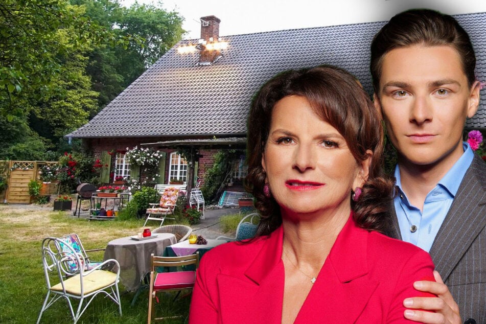 Sommerhaus der Stars: Mega-Zoff im "Sommerhaus der Stars": RTL bestätigt "Zwischenfall" beim TV-Dreh