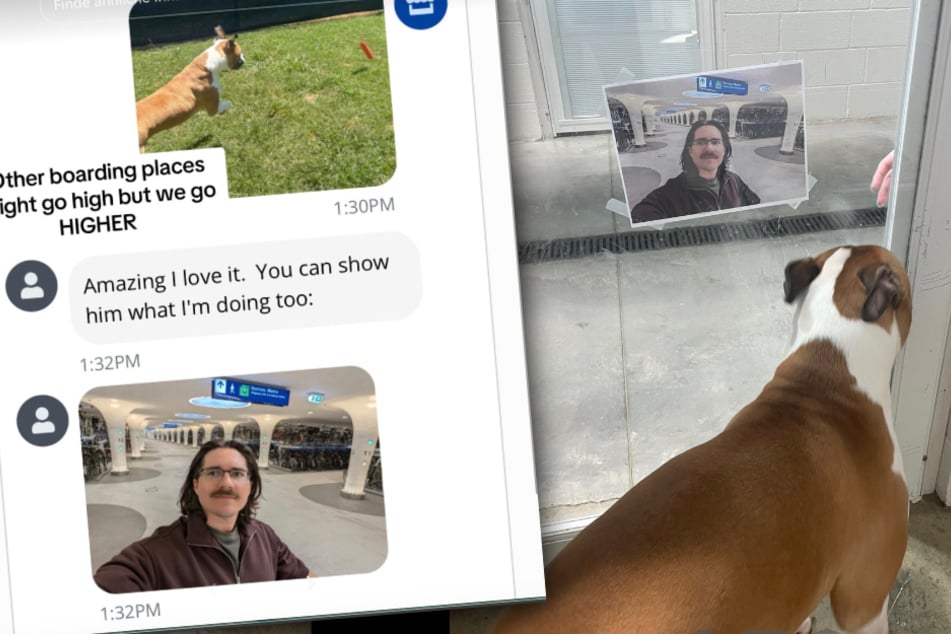 En lugar de simplemente mostrarle al perro la foto de su dueño, los empleados optaron por imprimirla.