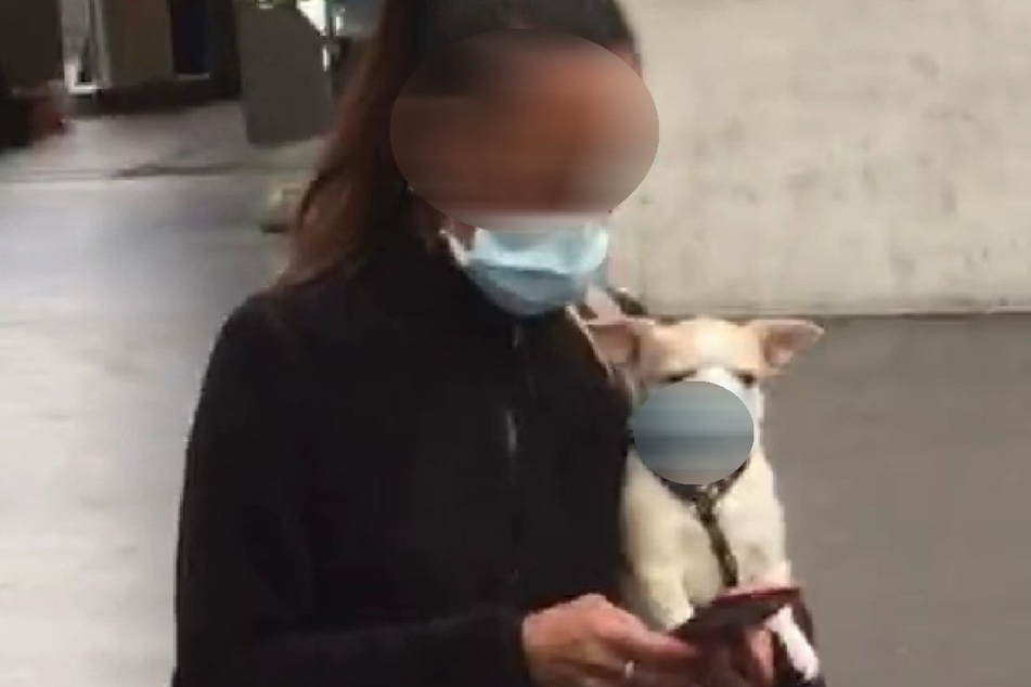 Frau hält Hund im Arm: Was er auf der Schnauze trägt, irritiert