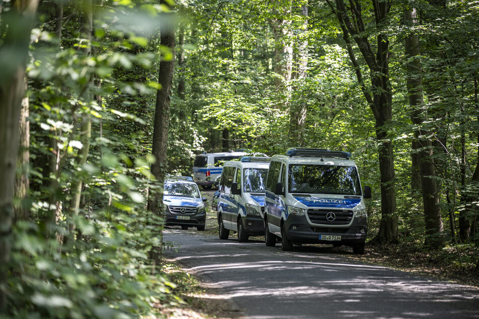 Mehrere Polizeiautos stehen in dem Waldstück, in dem die Leiche des Mädchens gefunden wurde.