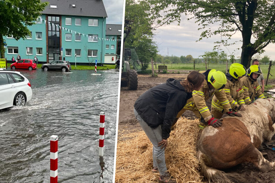 Unwetterfront über Ratingen: Stadt steht unter Wasser, Pferd versinkt im Schlamm