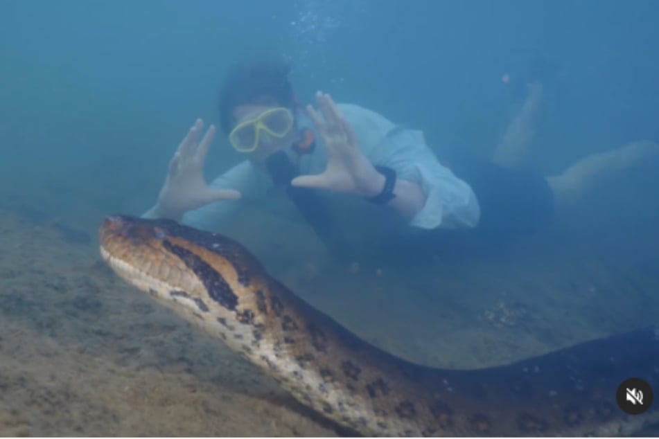 Auf dem Boden des Amazonas entdeckte der Biologe Freek Vonk (41) eine riesige Anakonda.