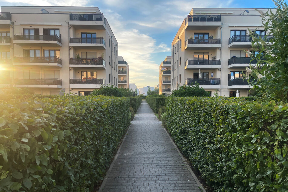 Das Berliner Familienunternehmen setzt auf Kundenzufriedenheit, Qualität und Zuverlässigkeit.