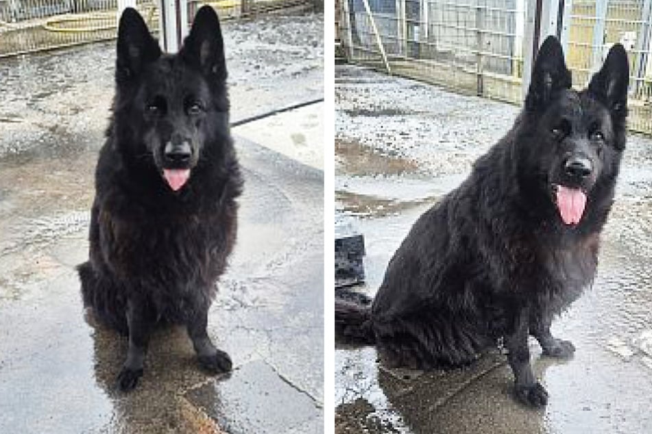 Kara braucht vor allem zwei Dinge: Weight-Watchers-Gruppe und viele Kuscheleinheiten