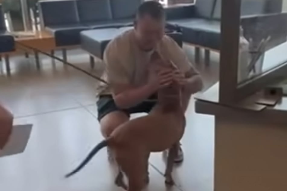 Wiedersehen nach einem Jahr: Hund und Herrchen sind voller Freude.