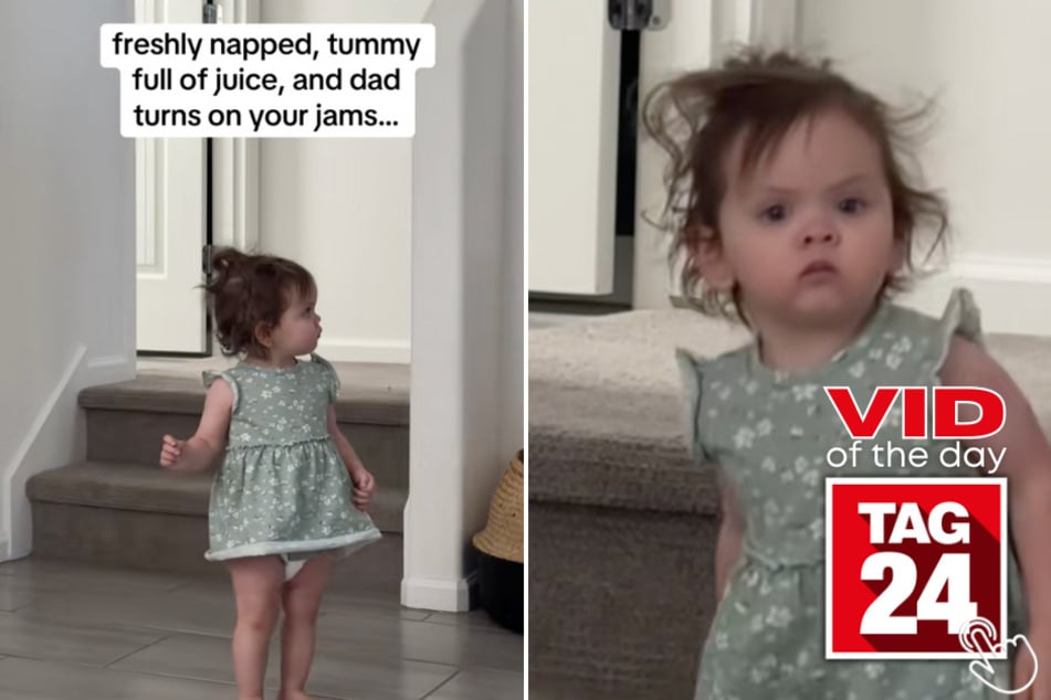 This toddler instantly stopped what she was doing when her favorite jam came on!