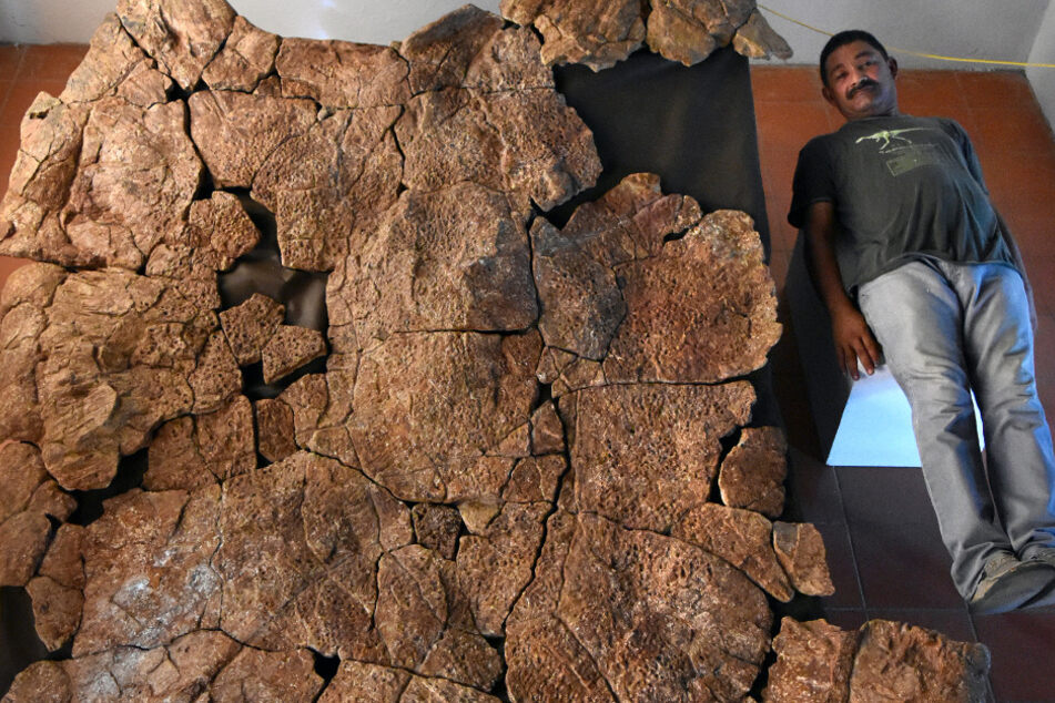 Der venezolanische Paläontologe Rodolfo Sánchez liegt neben dem Panzer eines Stupendemys geographicus Männchens, der in 8 Millionen Jahre alten Ablagerungen in Venezuela gefunden wurde.