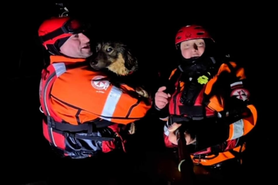 Im zweiten Anlauf gelang es den Seenotrettern, den völlig durchnässten Hund zu retten.