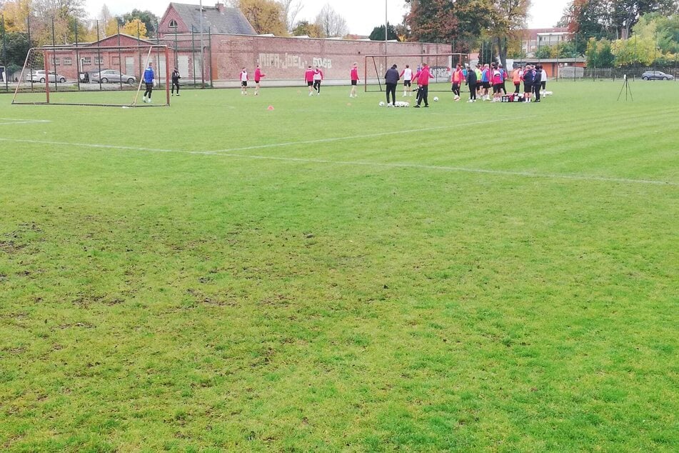 Der Rasen ist nach intensiven Einheiten schnell ramponiert, bei Regen steht außerdem das Wasser.