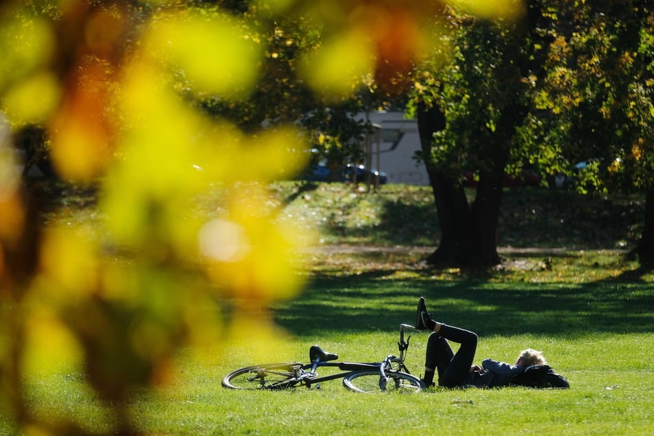 Im Park entspannen und in der Sonne chillen: In der letzten Woche waren die Sachsen wettertechnisch ganz schön verwöhnt.
