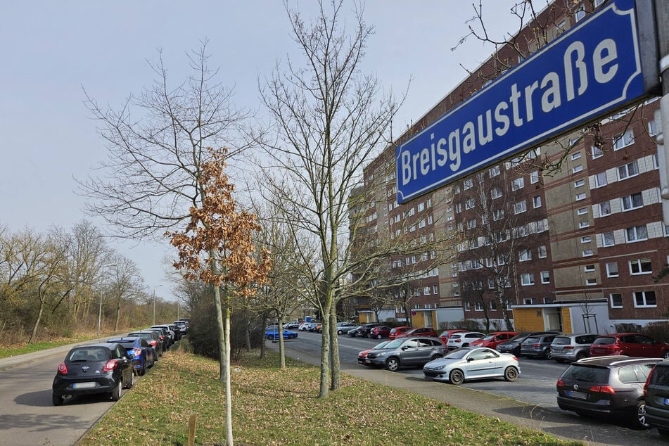 Der Ort des Geschehens: die Breisgaustraße.