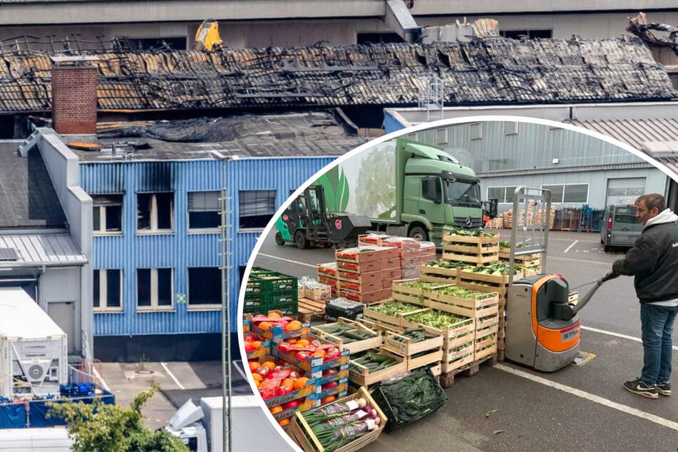 Stuttgart: Nach Großbrand in Stuttgart: Wie wird die Qualität der Lebensmittel gesichert?