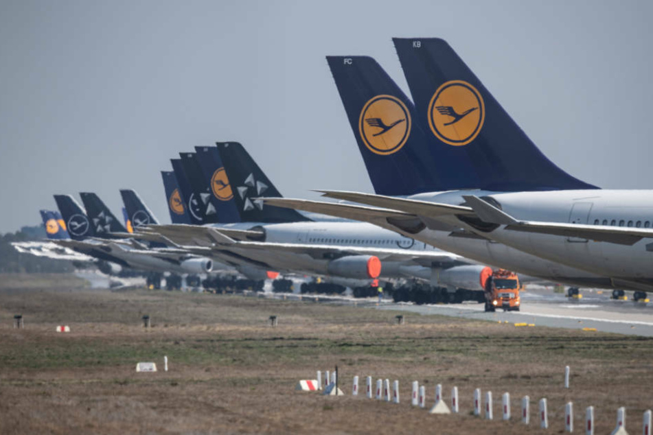 In langer Reihe stehen auf einer Landebahn des Flughafens Frankfurt Maschinen der Lufthansa, die wegen der weltweiten Corona-Pandemie derzeit außer Dienst gestellt sind.