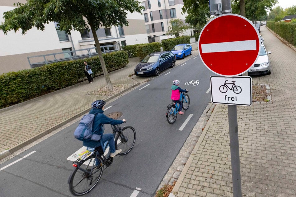 Hier haben Radler Vorrang: Die Laubestraße in Striesen gehört zur Radroute Ost.