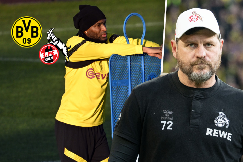 Köln-Trainer Baumgart kritisiert Modestes BVB-Wechsel: "Sportlich falsch entschieden"