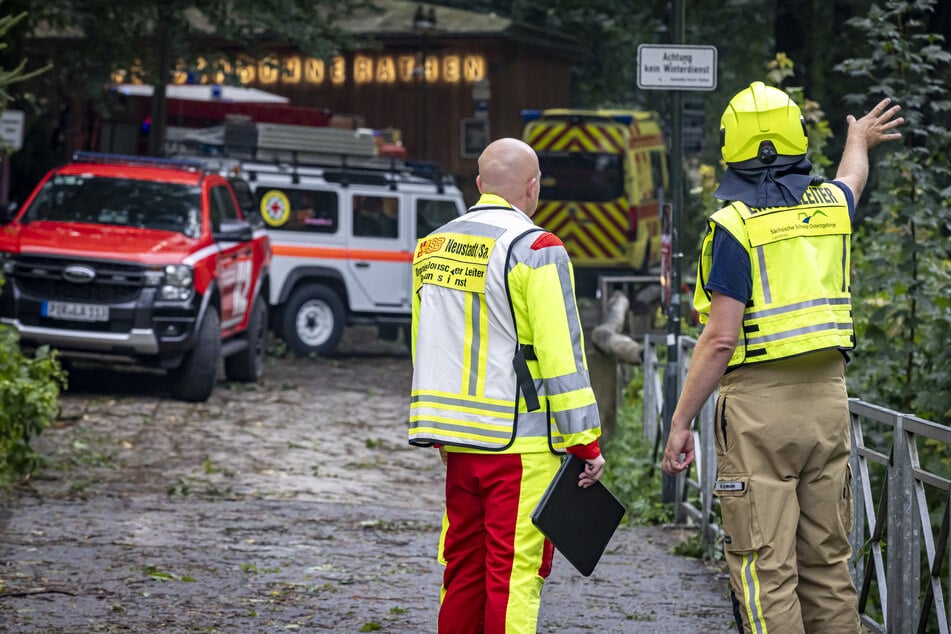 Gewitter-Drama nahe Felsenbühne Rathen: Mann (†28) von Baum erschlagen - mehrere Menschen verletzt