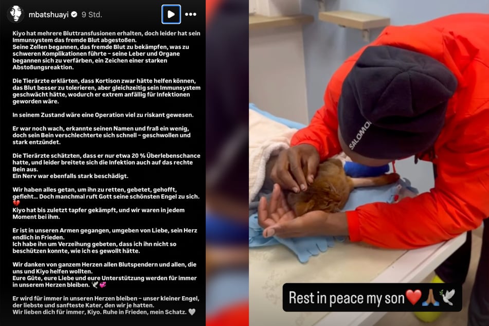 Mit einem emotionalen Post verabschiedete sich SGE-Stürmer Michy Batshuayi (32) von seinem geliebten Kater Kiyo.