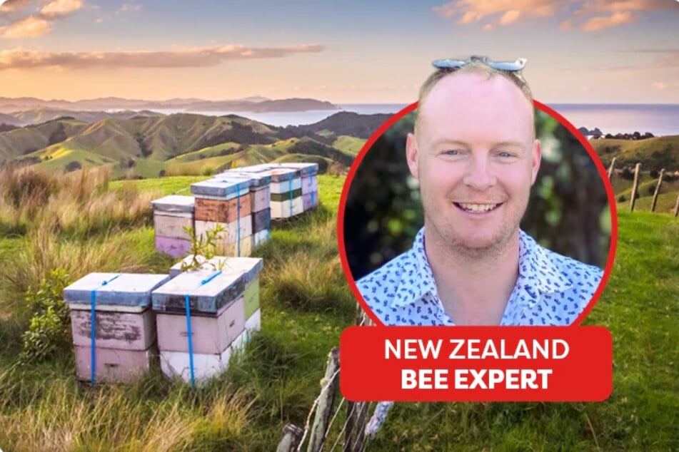 Seit 1909 gibt's das Familienunternehmen mit Sitz in Auckland, Neuseeland.