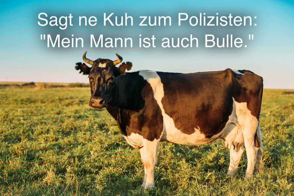 Dieser Polizistenwitz haut selbst den stärksten Bullen um.