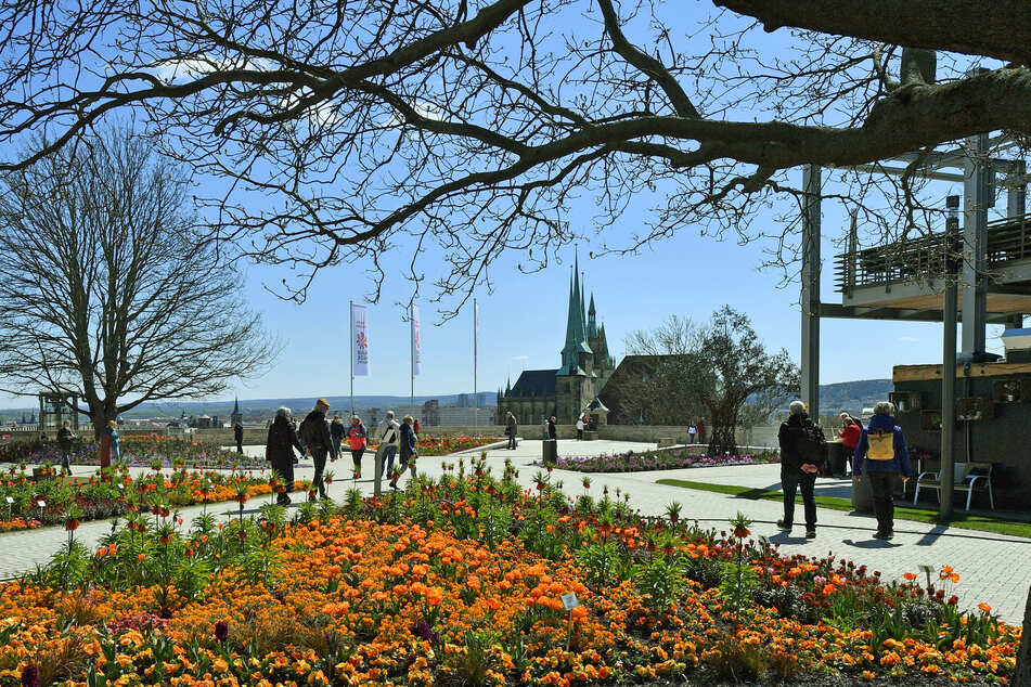 Besucher laufen auf dem Petersberg über das Gelände der Bundesgartenschau.