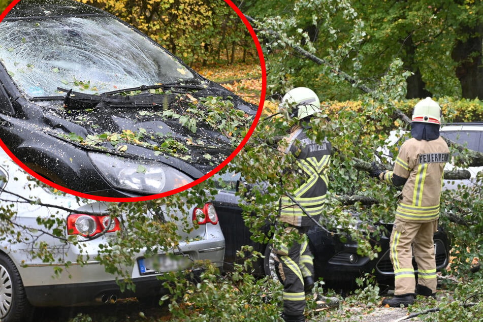 Unwetter sorgen für Schäden: Umgestürzter Baum zerstört mehrere Autos