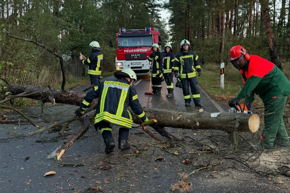 Die Freiwillige Feuerwehr Dannigkow war bereits am Morgen im Einsatz.