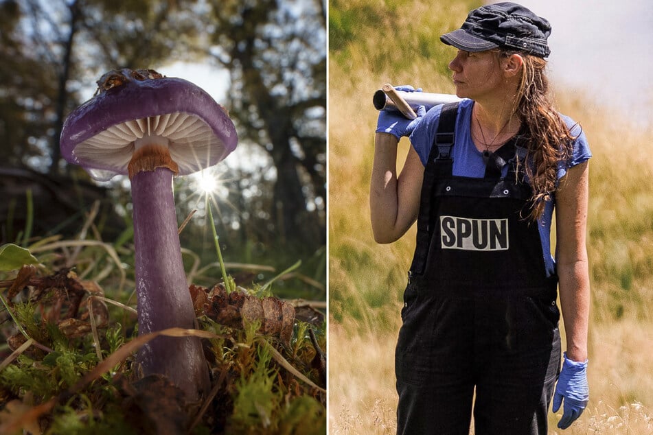 American scientist wins "Environment Nobel" for shedding light on hidden fungal networks