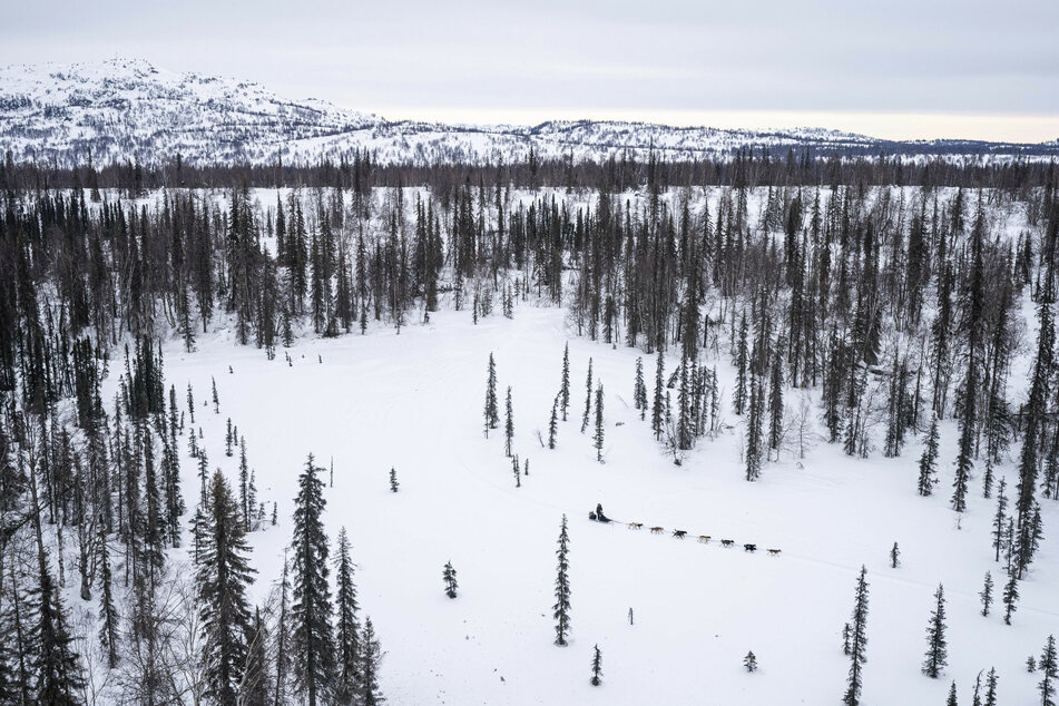 Mitten durch die wilde Natur: Aaron Burmeister beim Hundeschlittrennen in Alaska.