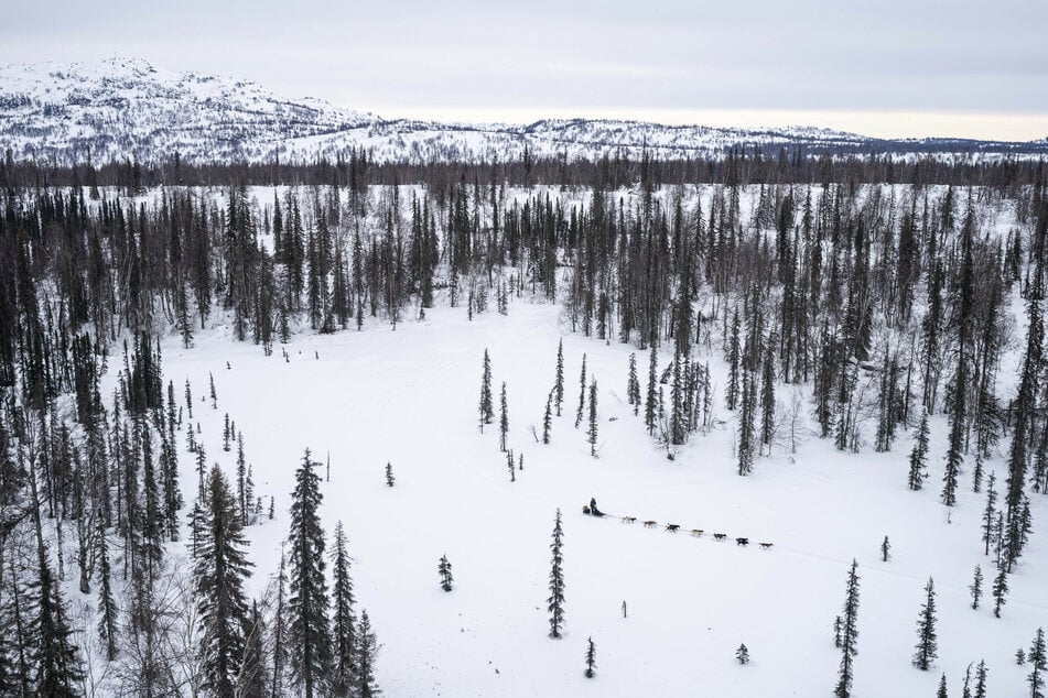 Mitten durch die wilde Natur: Aaron Burmeister beim Hundeschlittrennen in Alaska.