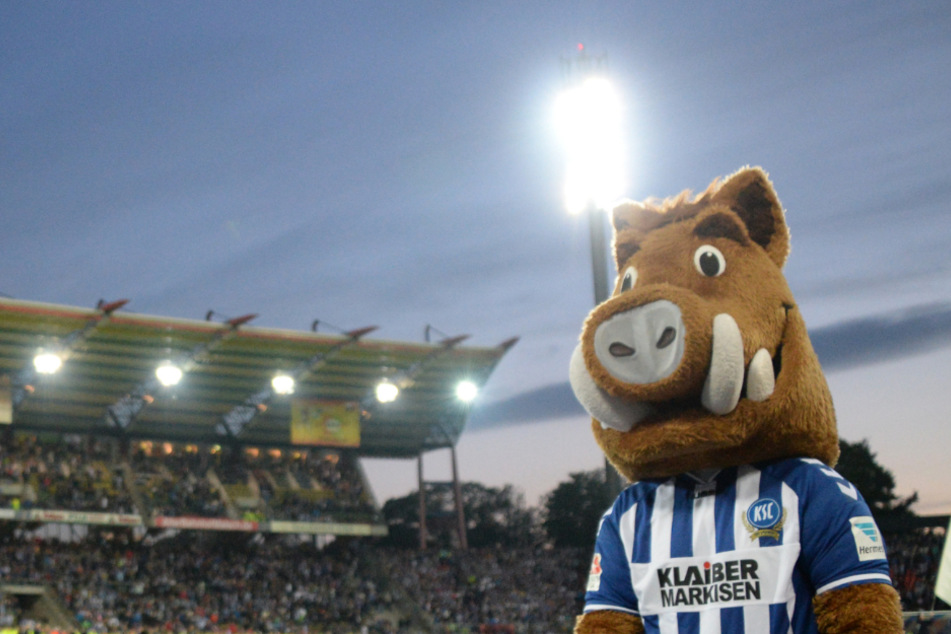 Das KSC-Maskottchen "Willi Wildpark".