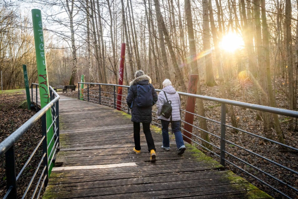Der Holzbelag der Brücke im Park Morgenleite ist durch die Witterung teilweise morsch. An einer Stelle wurde notdürftig repariert.
