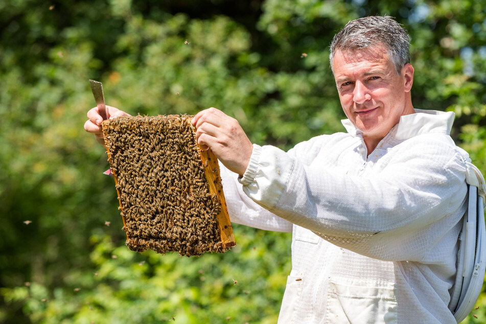 Dresden: Am Dienstag geht der Rechtsstreit weiter: Hausbesuch bei Böhmermanns Bienenmann