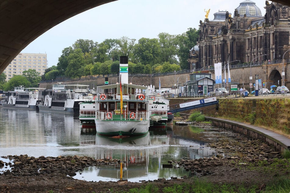 Mickriger Elbpegel: Die Weiße Flotte muss weitere Fahrten eindampfen.