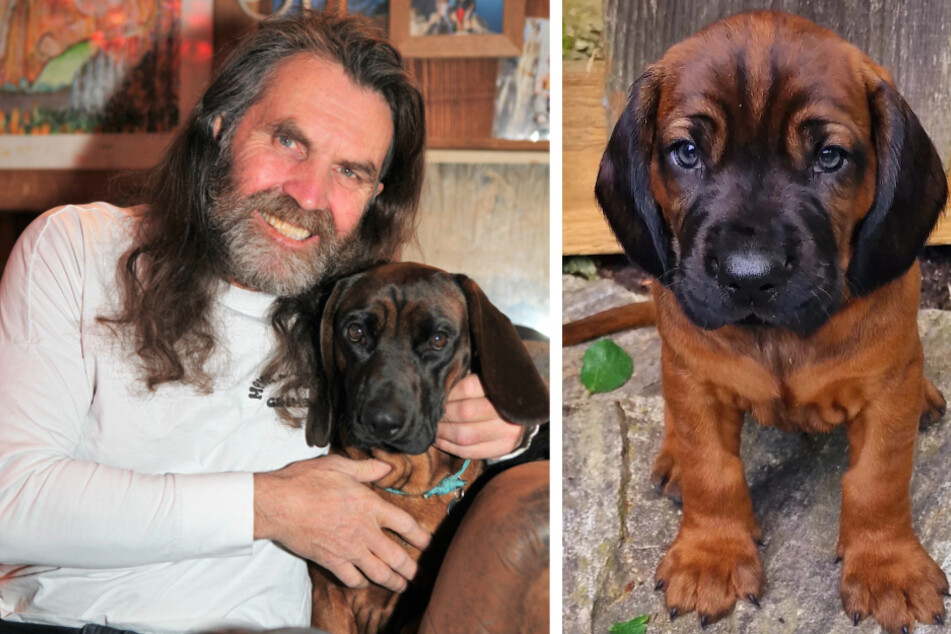 Nach tragischem Tod von Hund Cerro: Kletterer Thomas Huber zeigt neuen süßen Begleiter