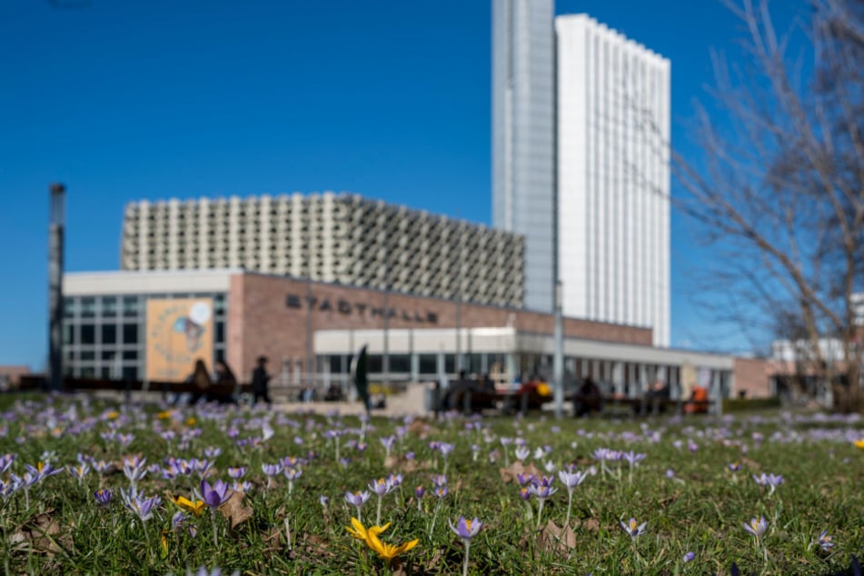 Auf die beiden Streithähne wurden die Beamten im Stadthallenpark aufmerksam.