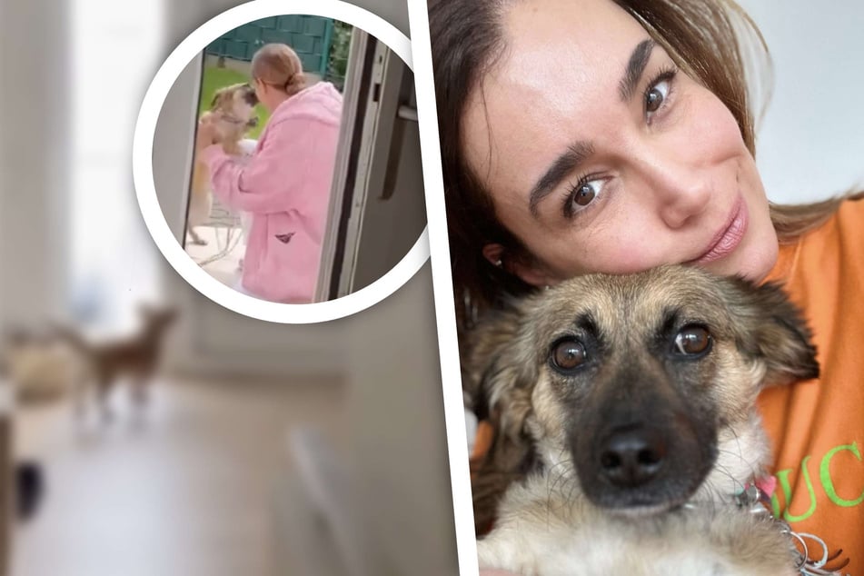 Als Jana Ina Zarrella ihren Hund nach dem Urlaub begrüßt, schlagen Fan-Herzen höher