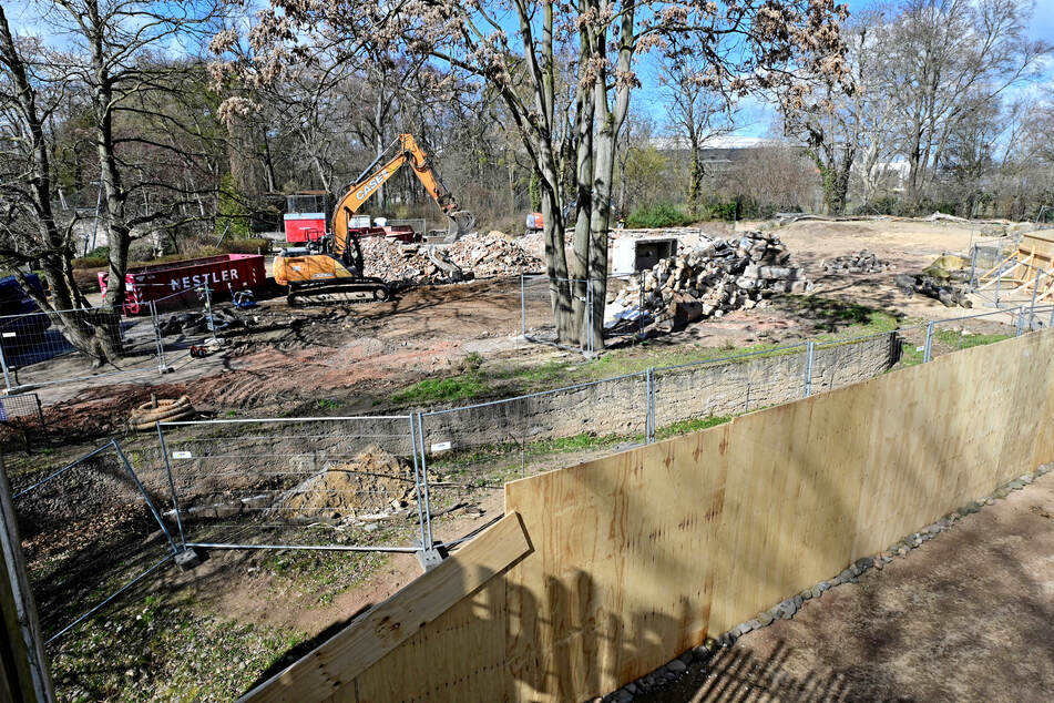 Aktuell sortieren die Bagger noch die Materialien, die dann abtransportiert werden.