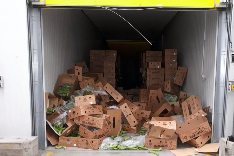 In einer aufgebrochenen Reifenhalle liegen zahlreiche Kisten mit noch grünen Bananen. In den Kisten war rund eine halbe Tonne Kokain versteckt.