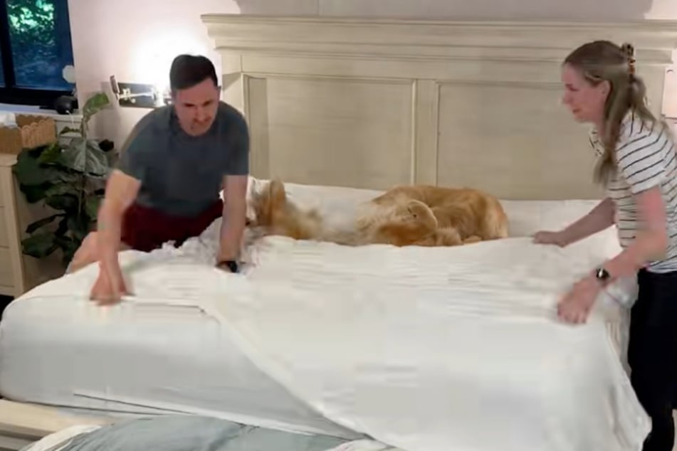 Kevin und Katie Bubolz schieben die Hunde einfach immer dorthin, wo sie gerade nicht stören.