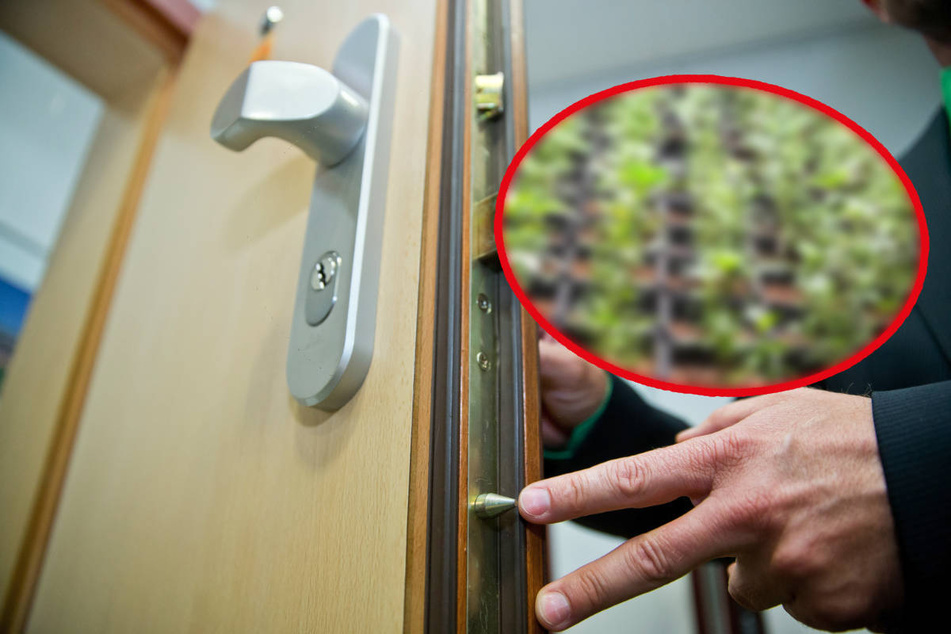 Frau sperrt sich aus - mit ungeahnten Folgen ...