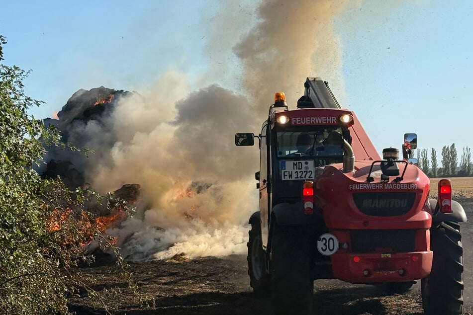 Warnung vor Rauchgas in Magdeburg: Feld in Ostelbien in Flammen