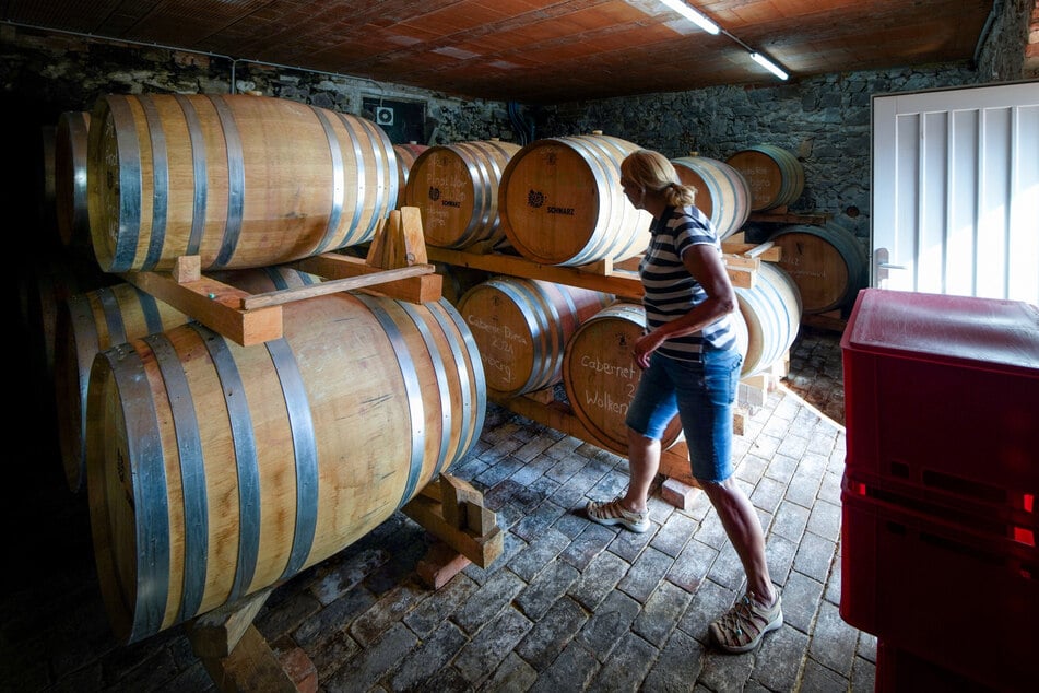 Grit und Martin arbeiten bei den hochwertigen Weinen mit Holzfässern. Das ist sehr aufwendig, gebe dem Wein aber noch mehr Struktur.